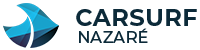 CARSURF Logo
